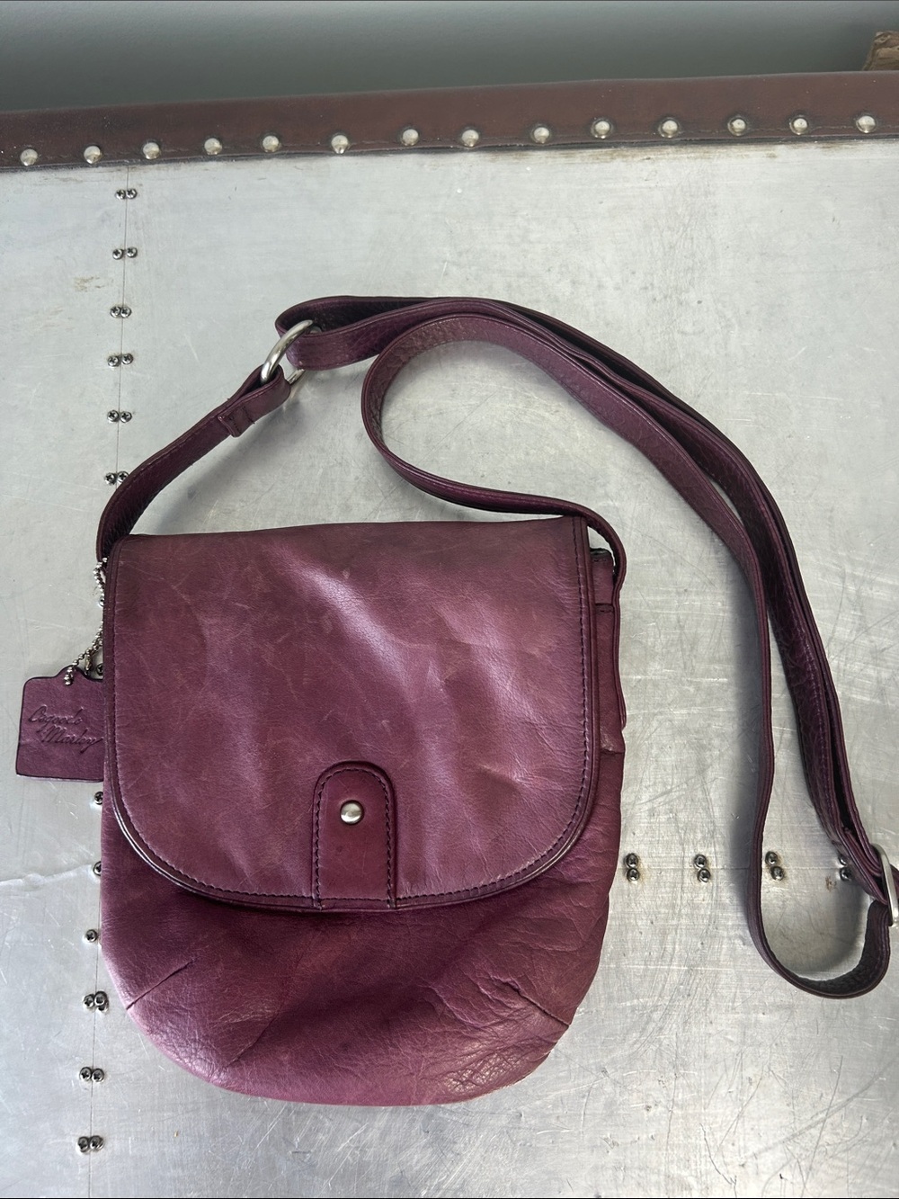 Osgoode Marley Leather Crossbody Bag in Deep Plum